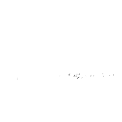 Neden Müşterilerimiz Bizi Tercih Ediyor?